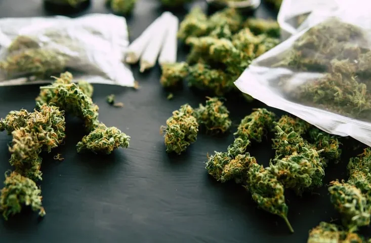 Pristina: Una persona tiene más de 50 libras [5 kg] de marihuana en su casa