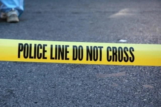Se sospecha que el niño mató a su madre, la policía da detalles