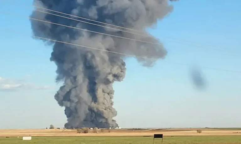 Más de 18.000 vacas mueren después de que una granja esté involucrada en el fuego estadounidense