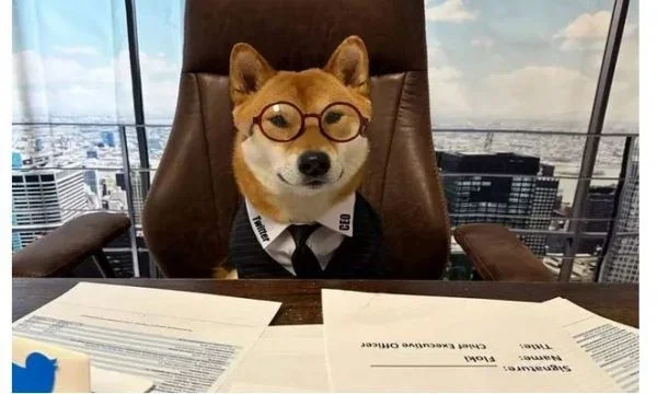 Elon Musk dice que su perro es jefe ejecutivo de Twitter