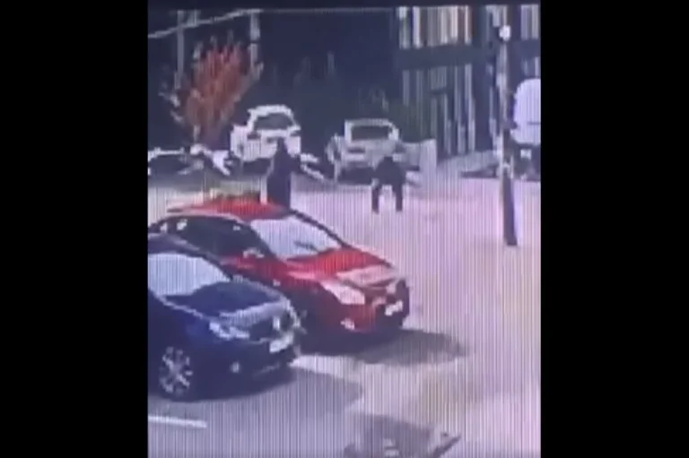 Una mujer en Pristina atacada por perros vagabundos, imágenes publicadas