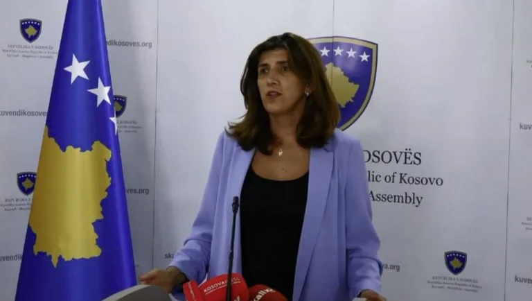 Musliu: AKI tiene información de que los ejercicios de desestabilización del norte están en marcha en Rashka