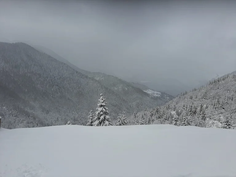Alertas de Rugovian: Estoy atrapado en la nieve