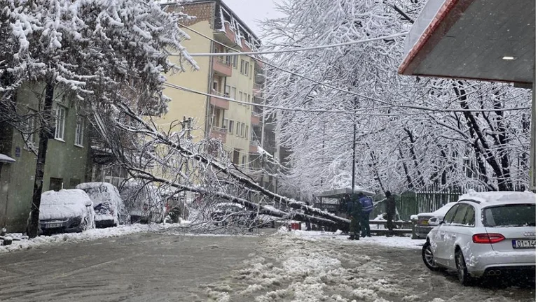Pristina City Park Ruined