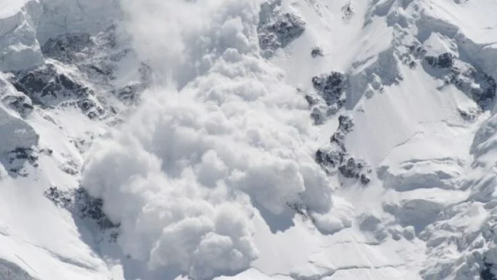 Four Dying of Snow Ortecs in Norway