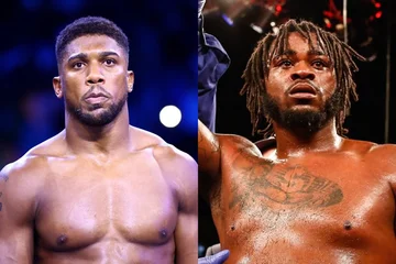 Joshua Franklin, das ist der Datensatz, den beide Boxer haben.