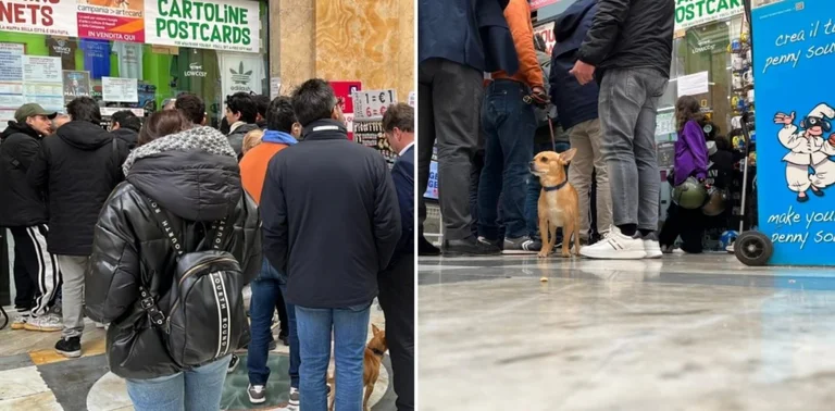 “The turn of the year” leads to Naples's leg, line without end for Milan's duel ticket