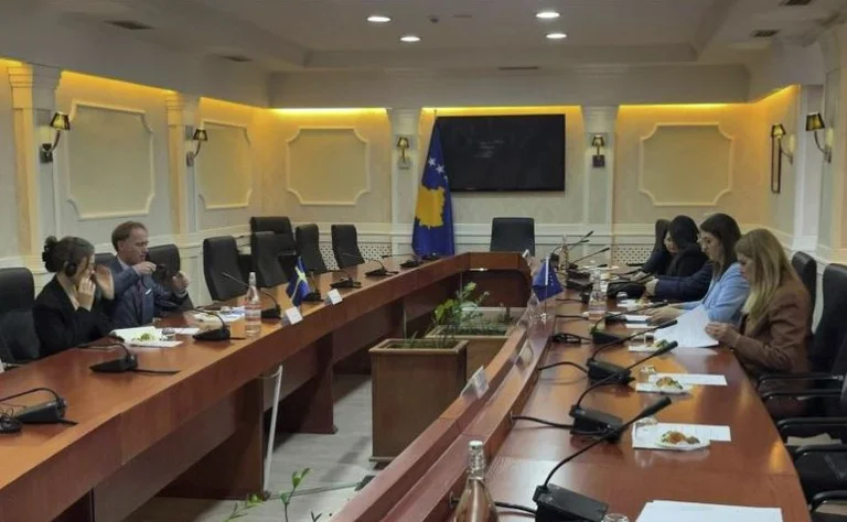 L'ambasciatore svedese incontra la Commissione per gli affari esteri e la diaspora, consapevole di ciò che parlano