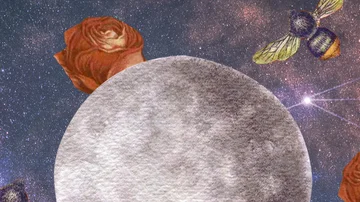 Horoscope for today: What have the stars predicted for each sign?