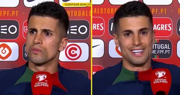 Cancelos erzählt der Elite von Nagelsmans Entlassung, das war portugiesische Antwort