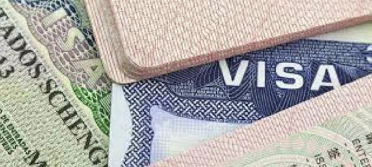 Le pot-de-vin de visa a reçu 17 mille euros, nommé un mois de détention des suspects