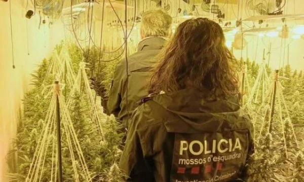 Spanisches kriminelles Drogennetz zerstört unter 20 albanischen und albanischen Gefangenen