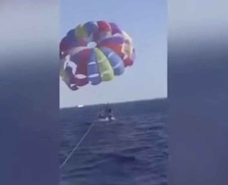 I turisti sono attaccati da squalo sul Mar Rosso! (Video)