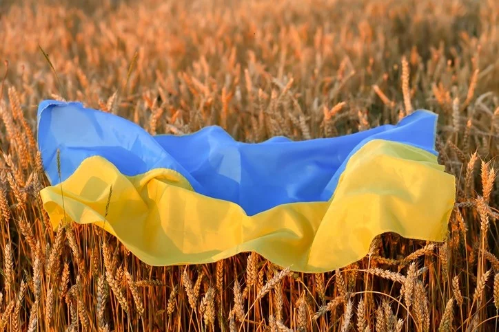 Kann ukrainische Getreide die globale Nahrungsmittelkrise lindern?