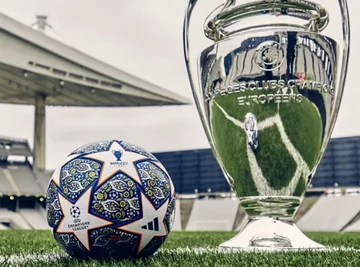 Dies sind alle Teams, die den Übergang zum Viertelfinale der Champions League gesichert haben.