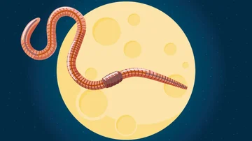 What is the full moon of worm and why it is perfect time to manifest dream life