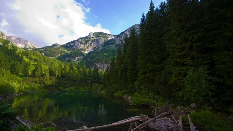 Rugovas exige l'enlèvement des propriétés privées du plan pour le parc national <x0) “Bejeks de Nemuna”