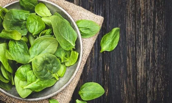 Beneficios de la salud de espinacas si usted come al menos una vez al día