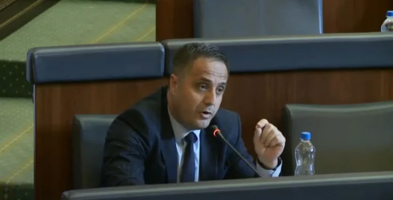 Selmanaj: LDK with criminal speculation against Martin Berisha, was the fact that Komisio lied to