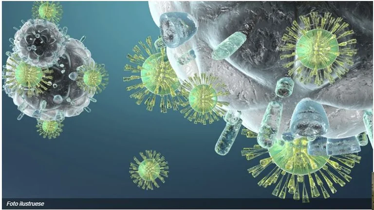L'evoluzione del cancro è matematica, quindi la malattia cambia forma, ed è soggetto al trattamento