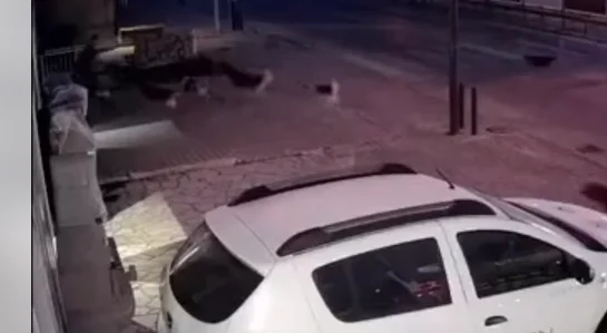 Le moment où des chiens errants ont attaqué un citoyen à Pec