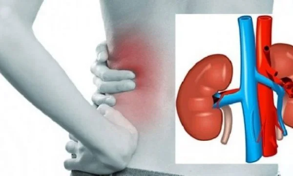 Cinq aliments très nocifs pour les reins