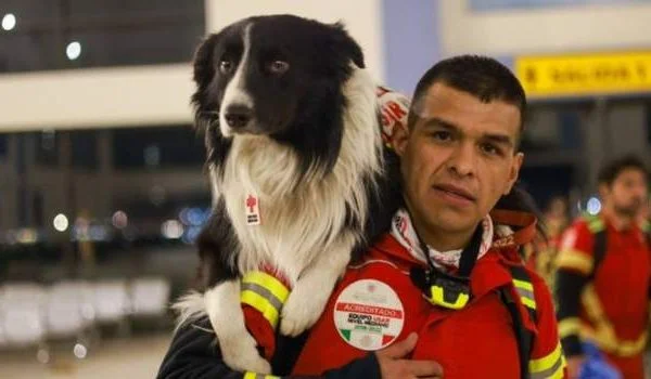 Earthquake in Turkey, Mexico sends its famous research dogs