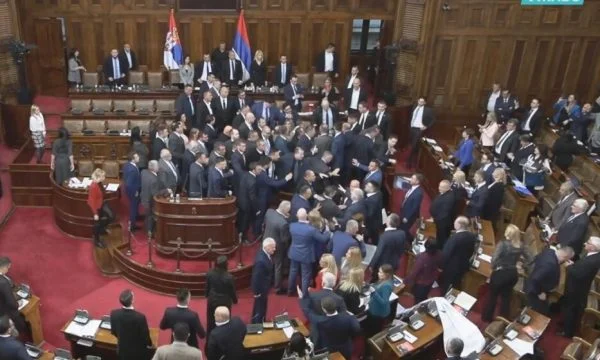 Funny scene in Serbian Parliament, MP offers service on how MPs should be beaten