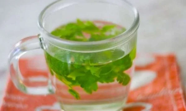 La qualité rare du persil pour les reins sains