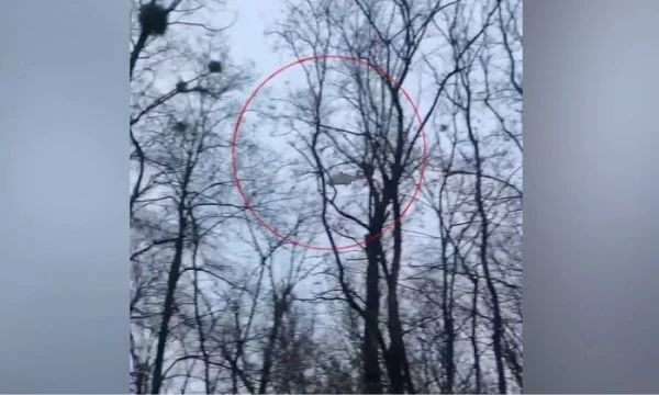 Pak çaste para tragjedisë, publikohen pamjet e helikopterit ku humbi jetën Ministri i Brendshëm ukrainas