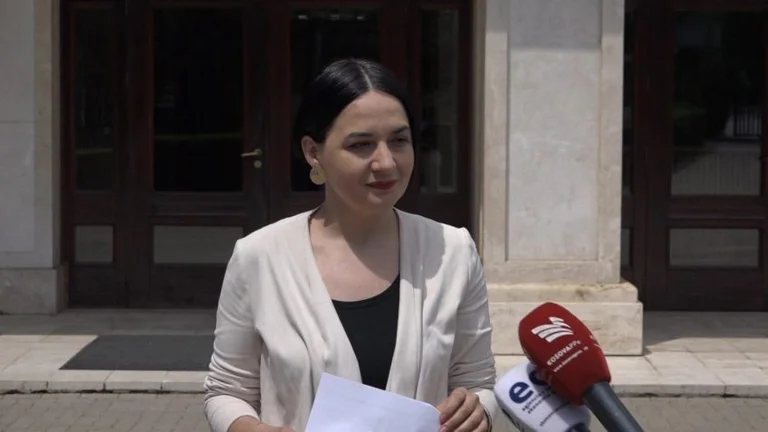 “Bravo! Në llogarinë tuaj janë transferuar 100 mijë euro nga Martin Berishaj”, komentuesi shpotit Fitore Pacollin