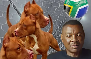 Er wurde von drei seiner Hunde angegriffen, verlor sein ehemaliger afrikanischer Fußballspieler Leben.