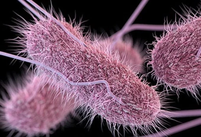 Dangers 2023: Infectious diseases, cyber attacks are key concerns of Albanian executives