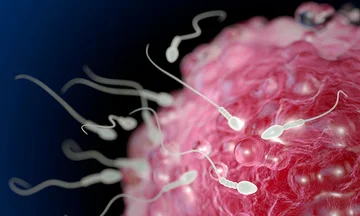 Some myths about sperm, which you just don't have to trust anymore.