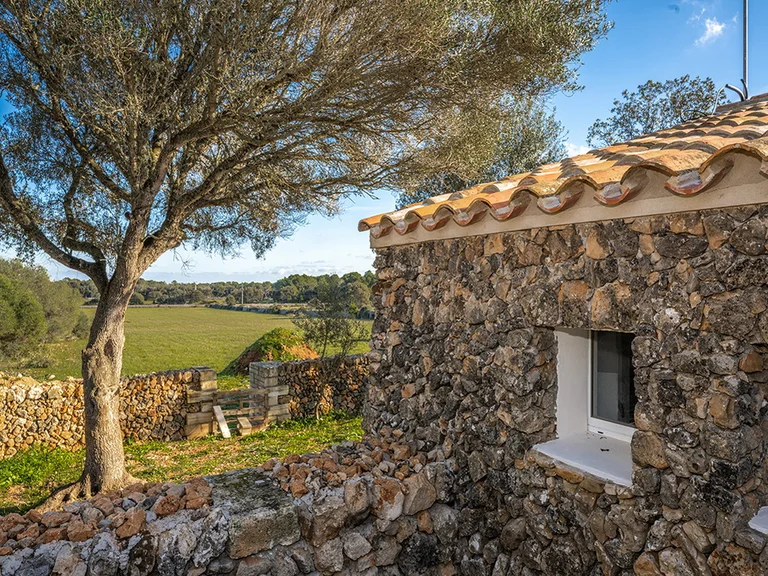 Activista albanés: agriturismo de queso serbio y leche en polvo