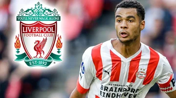 Liverpools ex-player disobeys Gakpo, denkt, er wird nicht in das Team passen.
