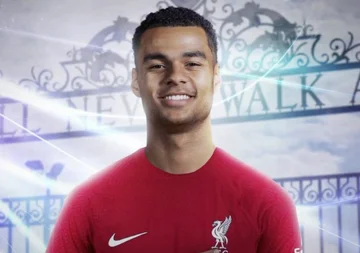 Romano: Cody Gakpo ist Liverpool