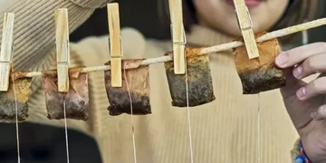 Don't drop the tea bag used: Hang on the window handle or radiator