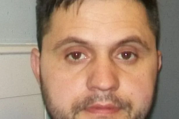 Zbulohen tetë “shtëpi bari” në Angli, arrestohet shqiptari dhe bashkëpunëtori i tij
