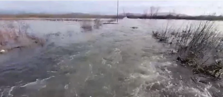 Deux mille 900 hectares inondés à Shkodra, 550 hectares restent encore sous l'eau à Lezha