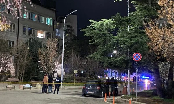 Haxhiu assembles the interministerial group for Hamide Magash assassination