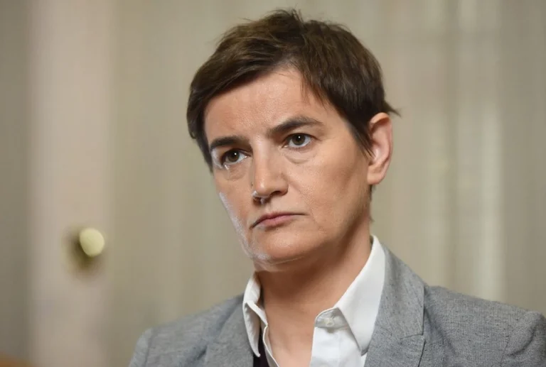 Brnabiq calls on the EU to help free CEC office attacker