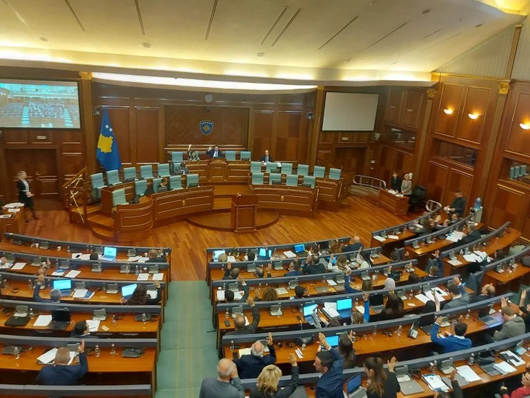 The assembly with the ad-hoc Commission for self-preservation: Members