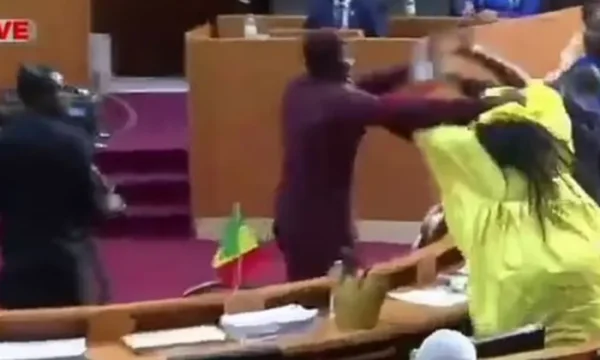 Degradon severely the situation in the Senegal Parliament: The MP slaps his colleague, she slaps him back in the chair