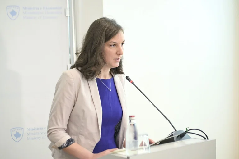 Rizvanolli: Vitin e ardhshëm subvencionojmë izolimin e kulmeve dhe dyert e dritaret