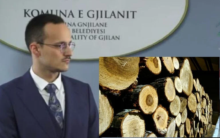 Komuna e Alban Hysenit bën tregti gjysmë milionëshe me dru në dëm të buxhetit