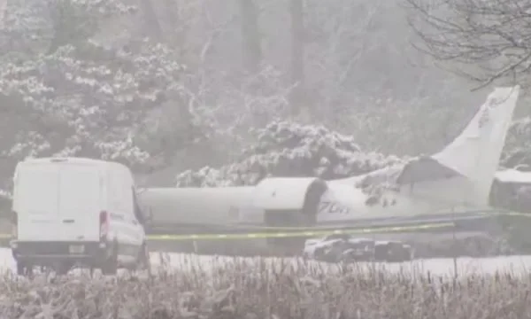 Rrëzohet aeroplani me 3 njerëz dhe 53 qen në të , shpëtojnë mrekullisht