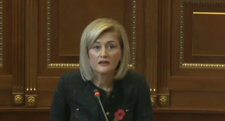 ‘Minimalisht përfaqësuan interesat e serbëve’, Kusari-Lila flet serbisht në Kuvend