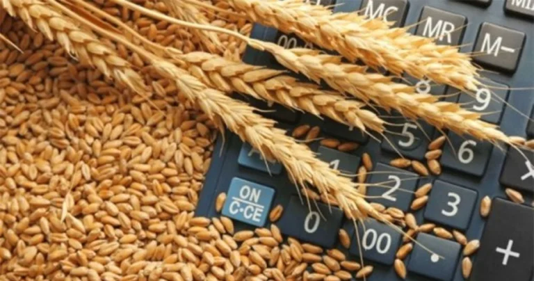 wheat deal results, Russia accuses Ukraine, Britain of crime attacks
