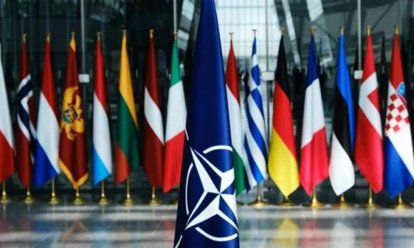 Espansione della NATO, Turchia, Ungheria